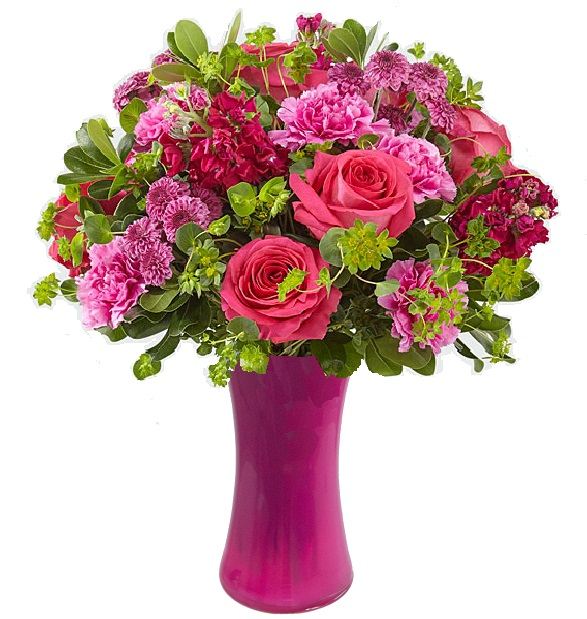 Bloom Premium Roses Bloom