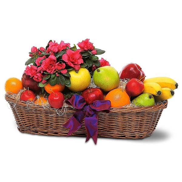 Plant and Fruit Basket